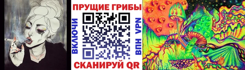 Псилоцибиновые грибы Cubensis Краснодар