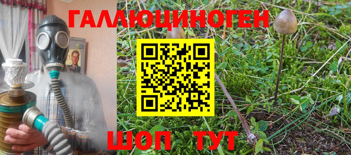 Галлюциногенные грибы Psilocybe  Краснодар  Галлюциногенные грибы Cubensis 