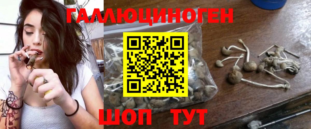 Галлюциногенные грибы Magic Shrooms Краснодар